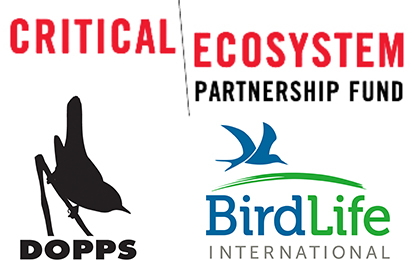 cepf logos1