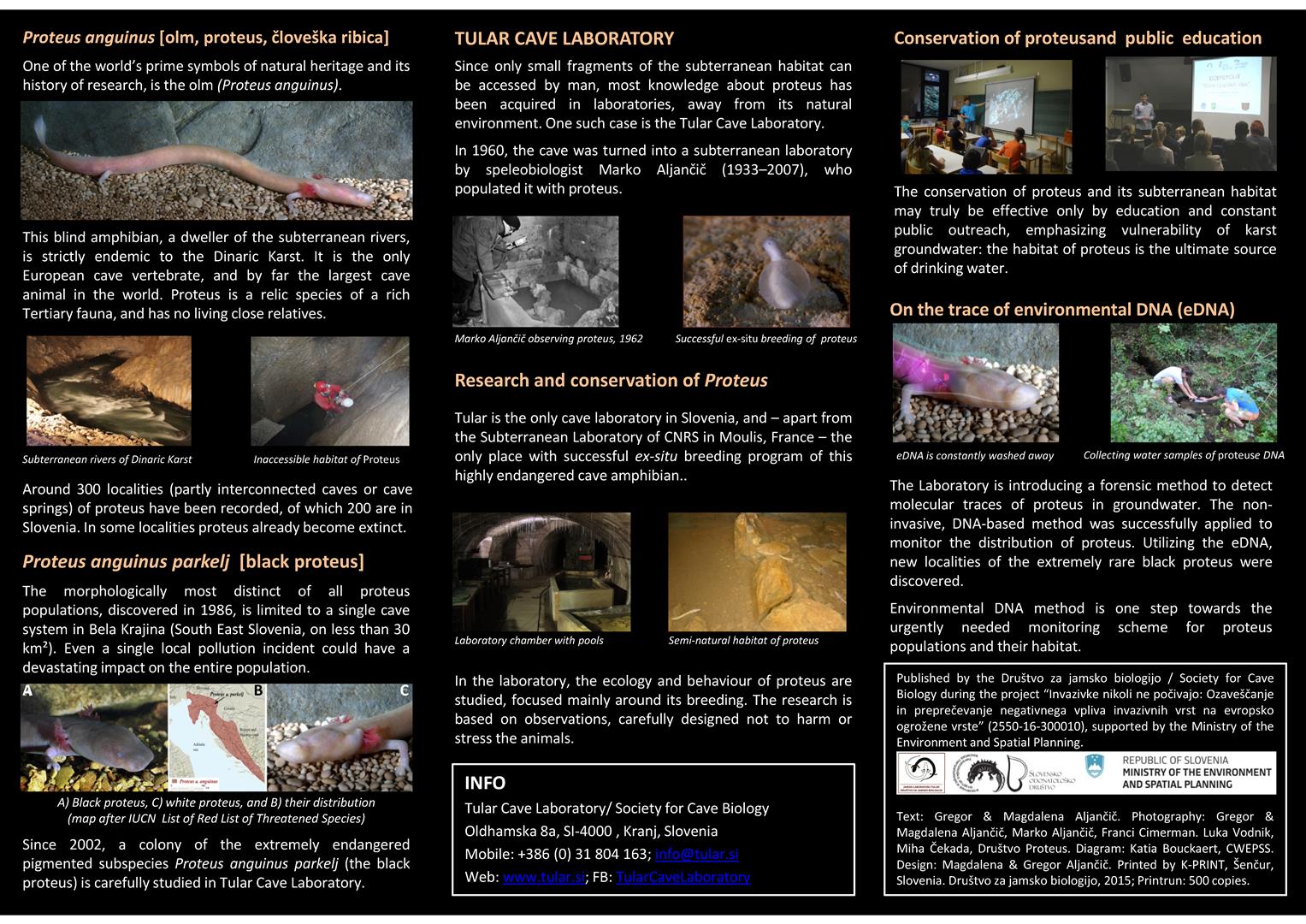 Conservation of Proteus 2017 Page 2 Large
