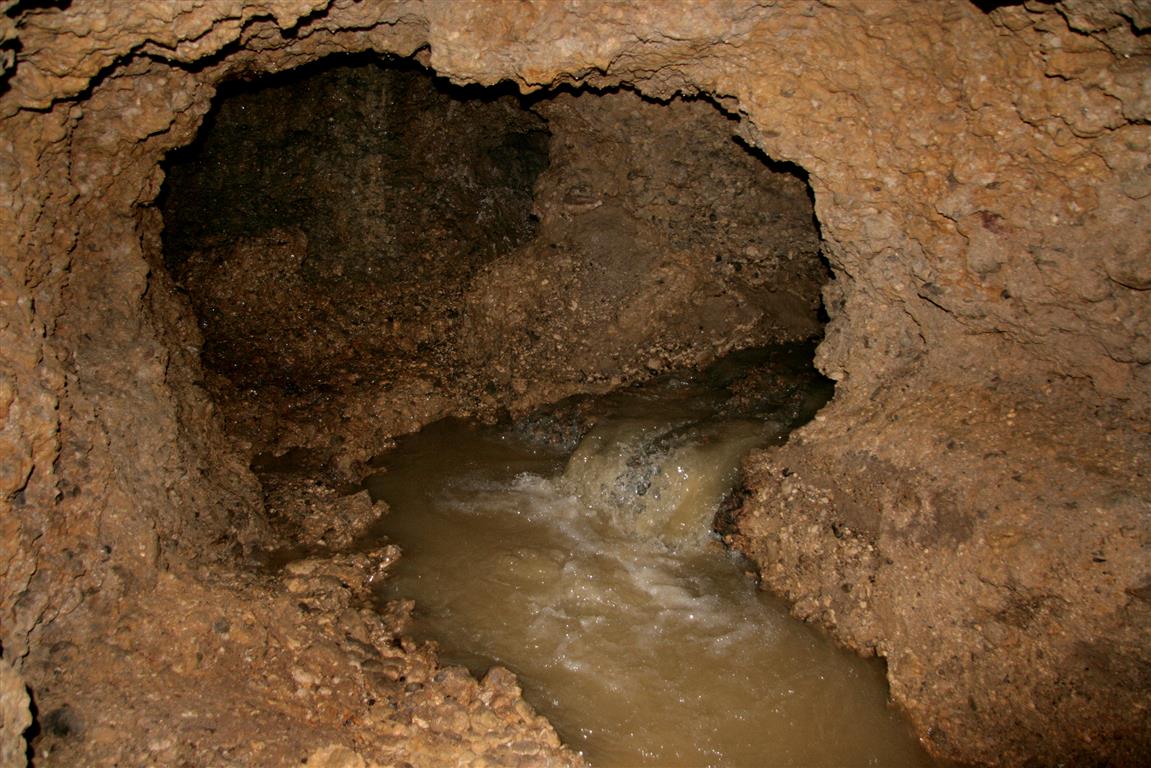 Tular