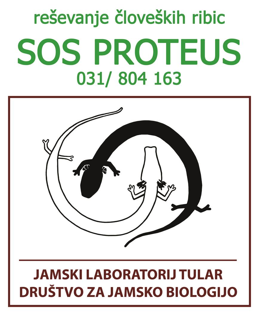 SOS Proteus – helping stranded olms