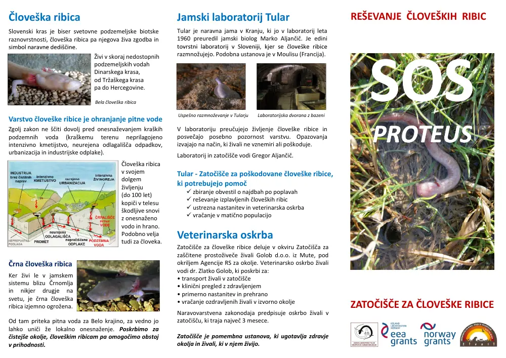 Leaflet preview (PDF)