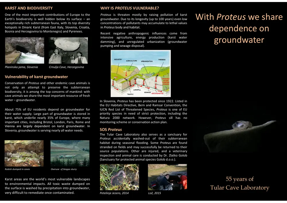 Leaflet preview (PDF)